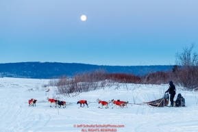 Ken Anderson runs down the bank and onto the sea ice of Norton Sound with a full moon as he leaves the Koyuk checkpoint during the 2017 Iditarod on Tuesday morning March 12, 2017.Photo by Jeff Schultz/SchultzPhoto.com  (C) 2017  ALL RIGHTS RESERVED
