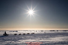 Aaron Burmeister runs past fish camps on the outskirts of the city as he heads toward the finish at Nome on Wednesday March 14th during the 2018 Iditarod Sled Dog Race.  Photo by Jeff Schultz/SchultzPhoto.com  (C) 2018  ALL RIGHTS RESERVED
