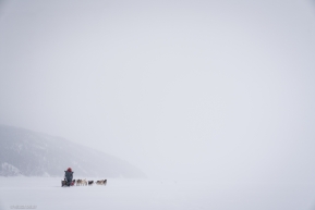 Laura Neese heads out into ice fog on the Yukon River on March 14, 2020.