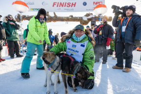 Iditarod Champion Ryan Redington with his Lead Dogs - 2023 Nome