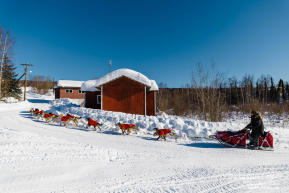 Sadie Lindquist Arriving to Ruby