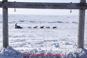 Thursday March 15, 2012    Kelley Griffin runs past the Department of Transportation sign on the Bering Sea ice as she nears the finish in Nome. Iditarod 2012.