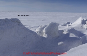 Thursday March 15, 2012  Rick Swenson runs on the Bering Sea ice 2 miles from the finish in Nome. Iditarod 2012.