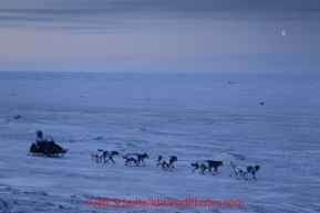 Thursday March 15, 2012    Rohn Buser on the Bering Sea ice with a half moon just a few miles from the finish line in Nome. Iditarod 2012.