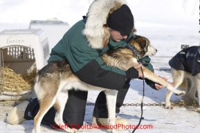 Thursday March 15, 2012   Chief Veterinarian Stu Nelson checks out an Iditarod Champion Dallas Seavey dog in the dog lot in Nome. Iditarod 2012.