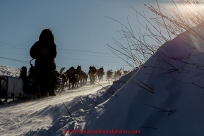 Paige Drobny and team run up the hill from the Yukon River at the Kaltag checkpoint in a 20 mph wind on the afternoon of Sunday  March 15, 2015 during Iditarod 2015.  (C) Jeff Schultz/SchultzPhoto.com - ALL RIGHTS RESERVED DUPLICATION  PROHIBITED  WITHOUT  PERMISSION