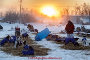 Laura Allaway hooking up her dogs at the Huslia checkpoint on the morning of Sunday  March 15, 2015 during Iditarod 2015.  (C) Jeff Schultz/SchultzPhoto.com - ALL RIGHTS RESERVED DUPLICATION  PROHIBITED  WITHOUT  PERMISSION