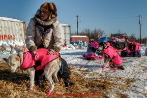 DeeDee Jonrowe boots dogs as she prepares to leave the Koyukuk checkpoint on the afternoon of Sunday  March 15, 2015 during Iditarod 2015.  (C) Jeff Schultz/SchultzPhoto.com - ALL RIGHTS RESERVED DUPLICATION  PROHIBITED  WITHOUT  PERMISSION