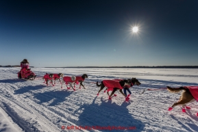 DeeDee Jonrowe on the Yukon River after leaving  the Koyukuk checkpoint on the afternoon of Sunday  March 15, 2015 during Iditarod 2015.  (C) Jeff Schultz/SchultzPhoto.com - ALL RIGHTS RESERVED DUPLICATION  PROHIBITED  WITHOUT  PERMISSION