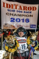 Dallas Seavey poses with his lead dogs Reef and Tide on the winner's podium after winning the 44th running of the Iditarod Sled Dog Race in Nome on Tuesday March 15th  in record time of 8 Days 11 hours 20 minutes 16 seconds  Iditarod 2016  Photo by Jeff Schultz (C) 2016  ALL RIGHTS RESERVED