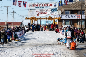 Ralph Johannessen makes his way up the finish chute on Front Street in Nome on Tuesday March 15th during the 2016 Iditarod.  Alaska    Photo by Jeff Schultz (C) 2016  ALL RIGHTS RESERVED