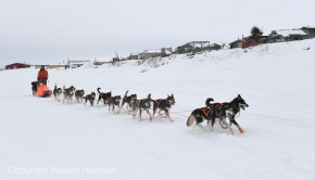 Thomas Waerner arrives at the Unalakleet, AK Iditarod checkpoint  in first place on Sunday, March 15, 2020. (Photo by Bob Hallinen)