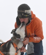Thomas Waerner works with his sled dogs at the Unalakleet, AK Iditarod checkpoint after arriving in first place on Sunday, March 15, 2020. (Photo by Bob Hallinen)