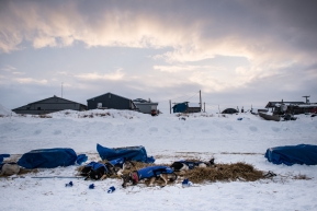 Wade Marrs's team resting in Unalakleet, March 15th, 2020.