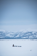 Paige Drobny arriving into Unalakleet, March 15th, 2020.