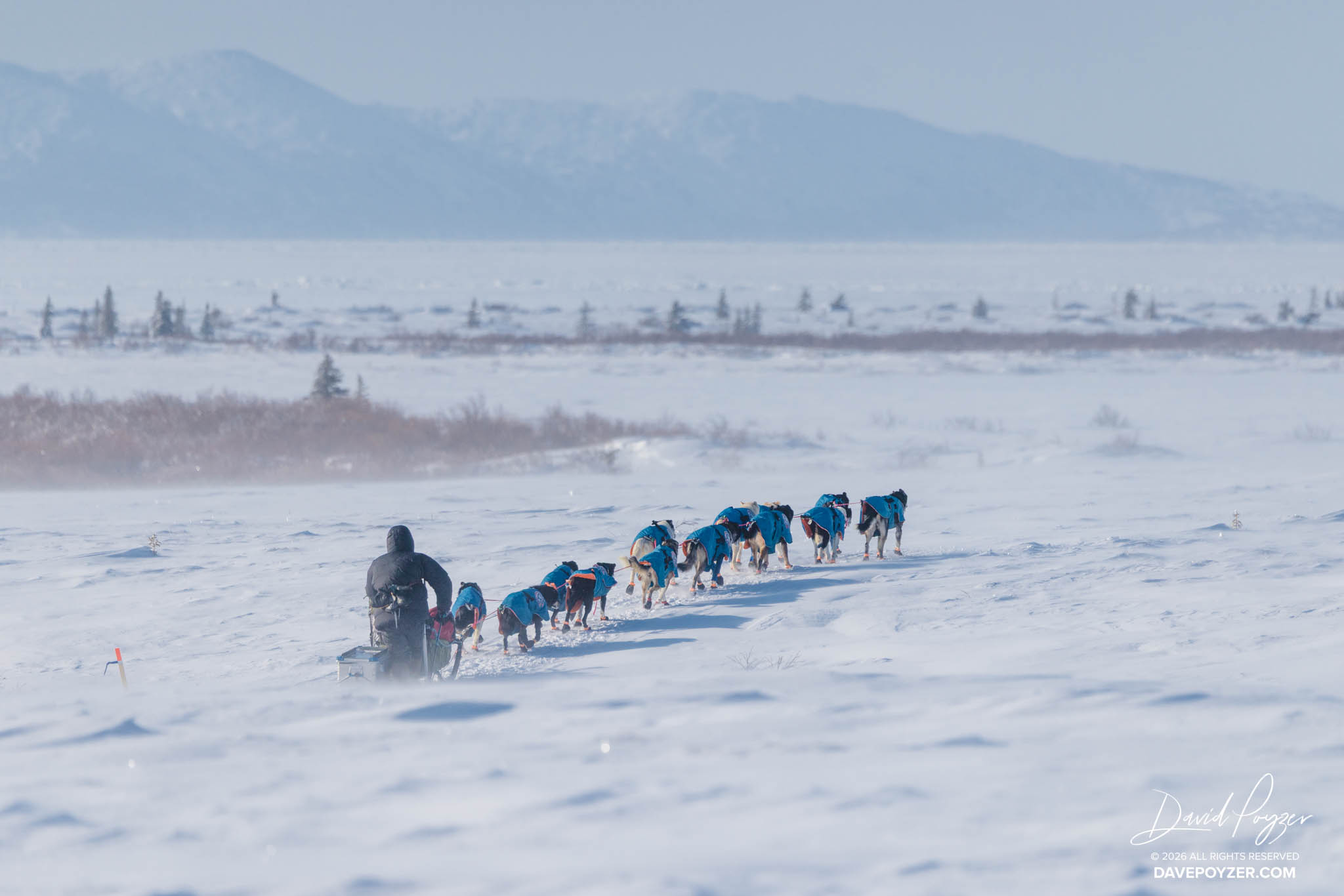 March 15th & 16th, 2026: Ruby & Unalakleet – Dave Poyzer – Iditarod