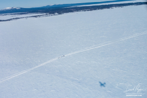 Jessie Holmes En Route to Elim