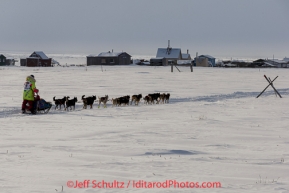 Monica Zappa on the trail just a few miles from the finish line along the Bering Sea coast passes summer fish shacks as she nears Nome on Saturday March 15 during the 2014 Iditarod Sled Dog Race.PHOTO (c) BY JEFF SCHULTZ/IditarodPhotos.com -- REPRODUCTION PROHIBITED WITHOUT PERMISSION