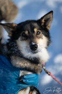 2026 Unalakleet Checkpoint