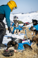 2026 Unalakleet Checkpoint