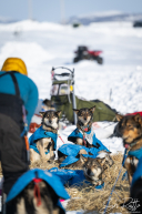 2026 Unalakleet Checkpoint