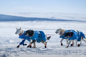 2026 Unalakleet Checkpoint