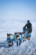 2026 Unalakleet Checkpoint