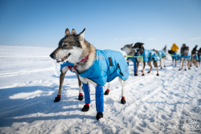 2026 Unalakleet Checkpoint