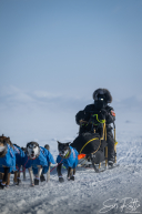 2026 Unalakleet Checkpoint