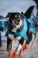 2026 Unalakleet Checkpoint