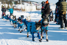 Jessie's Team in Elim