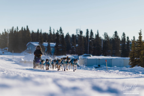 Michelle Phillips Arriving to Elim