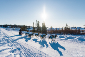 Michelle Phillips' Team at Elim