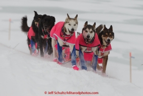 DeeDee Jonrowe dogs run up a side hill on the trail in the evening a few miles before the Unalakleet checkpoint on Monday March 16, 2015 during Iditarod 2015.  (C) Jeff Schultz/SchultzPhoto.com - ALL RIGHTS RESERVED DUPLICATION  PROHIBITED  WITHOUT  PERMISSION