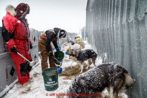 Volunteer dog handlers Jane Adkins and Alison Liska feed dropped dogs at the Unalakleet checkpoint on Monday March 16, 2015 during Iditarod 2015.  (C) Jeff Schultz/SchultzPhoto.com - ALL RIGHTS RESERVED DUPLICATION  PROHIBITED  WITHOUT  PERMISSION