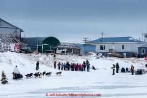 A crowd of 2nd graders and others are on hand to greet Martin Buser as he arrives at the Unalakleet checkpoint in the morning on Monday March 16, 2015 during Iditarod 2015.  (C) Jeff Schultz/SchultzPhoto.com - ALL RIGHTS RESERVED DUPLICATION  PROHIBITED  WITHOUT  PERMISSION