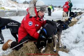 Volunteer veterinarian Debbie Hadlock examines a Martin Buser dog shortly after his arrival at the Unalakleet checkpoint in the morning on Monday March 16, 2015 during Iditarod 2015.  (C) Jeff Schultz/SchultzPhoto.com - ALL RIGHTS RESERVED DUPLICATION  PROHIBITED  WITHOUT  PERMISSION