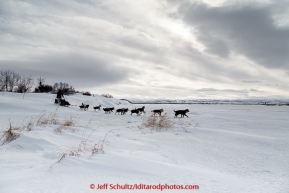 Christian Turner on the trail in 30 mph wind several miles before the Unalakleet checkpoint on Monday March 16, 2015 during Iditarod 2015.  (C) Jeff Schultz/SchultzPhoto.com - ALL RIGHTS RESERVED DUPLICATION  PROHIBITED  WITHOUT  PERMISSION