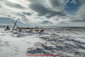 Kelly Maixner runs past a tripod marker on the trail in 30 mph wind several miles after leaving the Unalakleet checkpoint with the Bering Sea in the background on Monday March 16, 2015 during Iditarod 2015.  (C) Jeff Schultz/SchultzPhoto.com - ALL RIGHTS RESERVED DUPLICATION  PROHIBITED  WITHOUT  PERMISSION