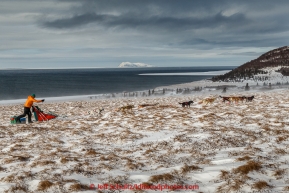 Kelly Maixner runs on the trail through tussocks in 30 mph wind several miles after leaving the Unalakleet checkpoint with the Bering Sea and Besboro Island in the background on Monday March 16, 2015 during Iditarod 2015.    (C) Jeff Schultz/SchultzPhoto.com - ALL RIGHTS RESERVED DUPLICATION  PROHIBITED  WITHOUT  PERMISSION