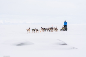 Joar Leifseth Ulsom and his team travel across the frozen ice on their way into the Koyuk checkpoing on March 16, 2020
