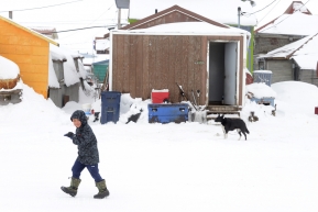 A youngster walks down the street in Nome AK Iditarod as people wait for the first Iditarod team to arrive on Monday, March 16, 2020. (Photo by Bob Hallinen)