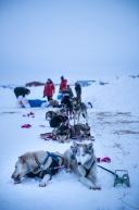 Tom Frode Johansen and his team, checking into the Unalakleet checkpoint, March 16th. 2020.