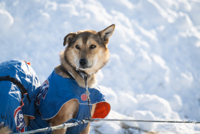 2026 Unalakleet Checkpoint