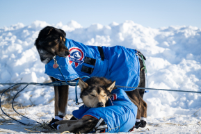 2026 Unalakleet Checkpoint
