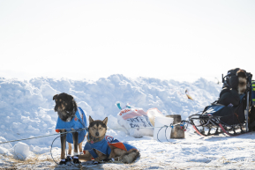 2026 Unalakleet Checkpoint