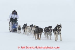 Christine Roalofs runs on the trail a few miles from Nome as she is about to finish in last place and be the winner of the Red Lantern Award.  Iditarod Sled Dog Race 2013Photo by Jeff Schultz copyright 2013 DO NOT REPRODUCE WITHOUT PERMISSION