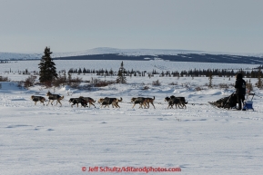Dallas Seavey is on the trail a few miles after leaving the White Mountain checkpoint on Tuesday March 16, 2015 during Iditarod 2015.  (C) Jeff Schultz/SchultzPhoto.com - ALL RIGHTS RESERVED DUPLICATION  PROHIBITED  WITHOUT  PERMISSION