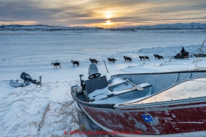 Curt Perano runs out of the Unalakleet checkpoint at sunrise on Tuesday March 16, 2015 during Iditarod 2015.  (C) Jeff Schultz/SchultzPhoto.com - ALL RIGHTS RESERVED DUPLICATION  PROHIBITED  WITHOUT  PERMISSION