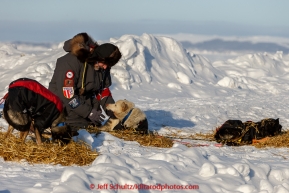 Volunteer vet Lee Morgan checks a Kristy Berington dog at Shaktoolik on Tuesday March 16, 2015 during Iditarod 2015.  (C) Jeff Schultz/SchultzPhoto.com - ALL RIGHTS RESERVED DUPLICATION  PROHIBITED  WITHOUT  PERMISSION